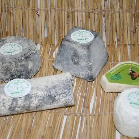 Ferme De La Valliere Frühstückspension Tancrou