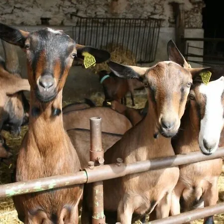 Ferme De La Valliere 3* Tancrou